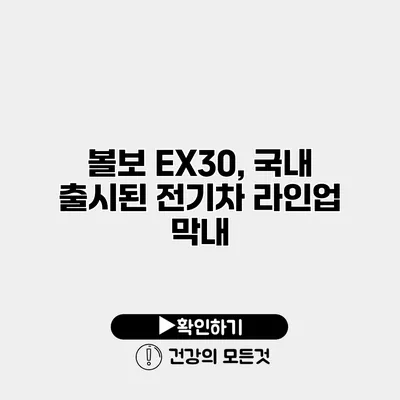 볼보 EX30, 국내 출시된 전기차 라인업 막내