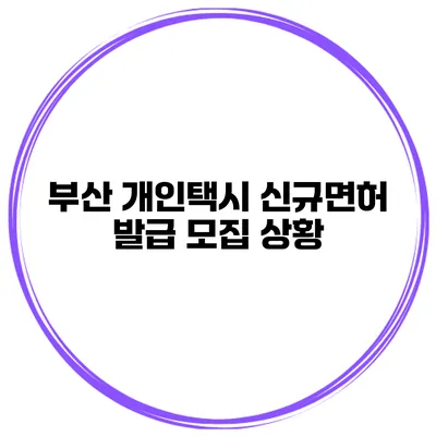 부산 개인택시 신규면허 발급 모집 상황