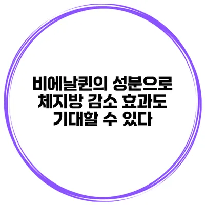 비에날퀸의 성분으로 체지방 감소 효과도 기대할 수 있다?