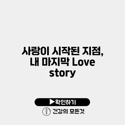 사랑이 시작된 지점, 내 마지막 Love story