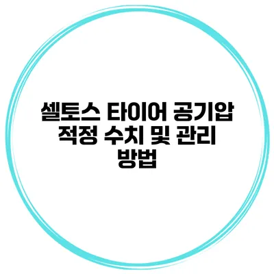 셀토스 타이어 공기압 적정 수치 및 관리 방법