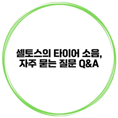 셀토스의 타이어 소음, 자주 묻는 질문 Q&A