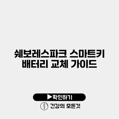 쉐보레스파크 스마트키 배터리 교체 가이드
