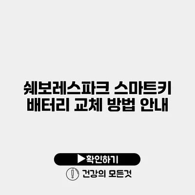 쉐보레스파크 스마트키 배터리 교체 방법 안내