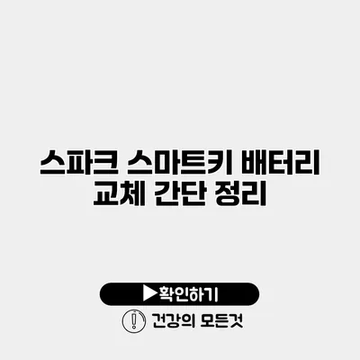 스파크 스마트키 배터리 교체 간단 정리