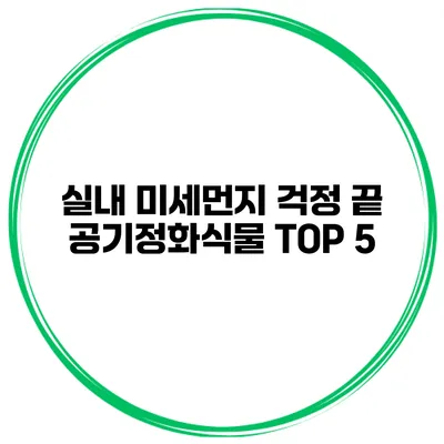 실내 미세먼지 걱정 끝 공기정화식물 TOP 5