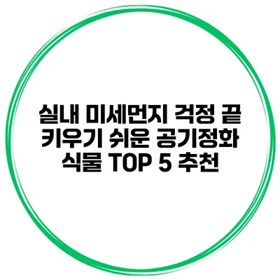 실내 미세먼지 걱정 끝 키우기 쉬운 공기정화 식물 TOP 5 추천