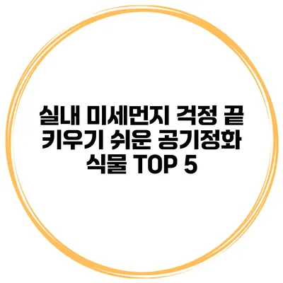 실내 미세먼지 걱정 끝 키우기 쉬운 공기정화 식물 TOP 5