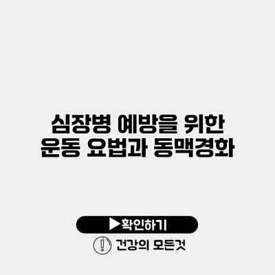 심장병 예방을 위한 운동 요법과 동맥경화