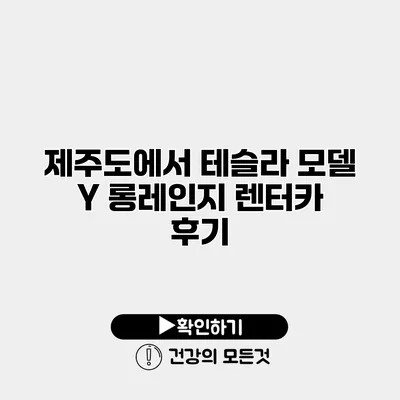 제주도에서 테슬라 모델 Y 롱레인지 렌터카 후기