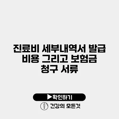 진료비 세부내역서 발급 비용 그리고 보험금 청구 서류