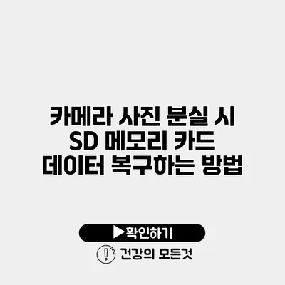 카메라 사진 분실 시 SD 메모리 카드 데이터 복구하는 방법