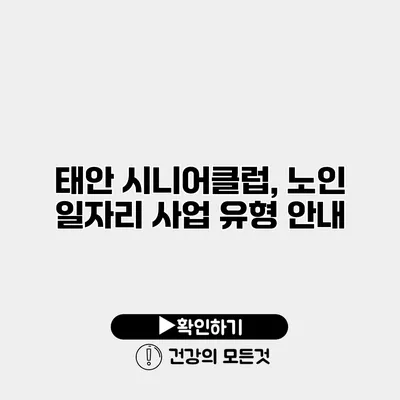 태안 시니어클럽, 노인 일자리 사업 유형 안내