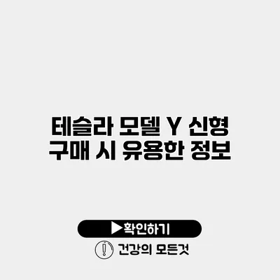 테슬라 모델 Y 신형 구매 시 유용한 정보