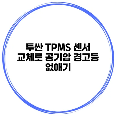 투싼 TPMS 센서 교체로 공기압 경고등 없애기