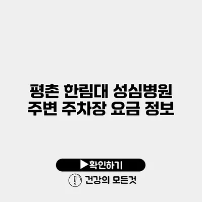 평촌 한림대 성심병원 주변 주차장 요금 정보