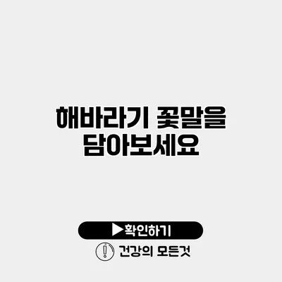 해바라기 꽃말을 담아보세요