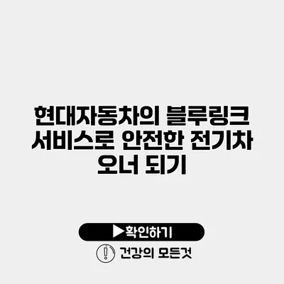 현대자동차의 블루링크 서비스로 안전한 전기차 오너 되기