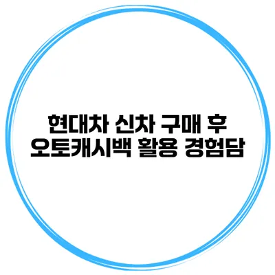 현대차 신차 구매 후 오토캐시백 활용 경험담